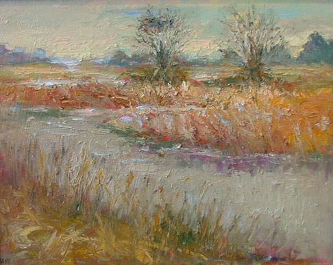 Winter Morning Marsh